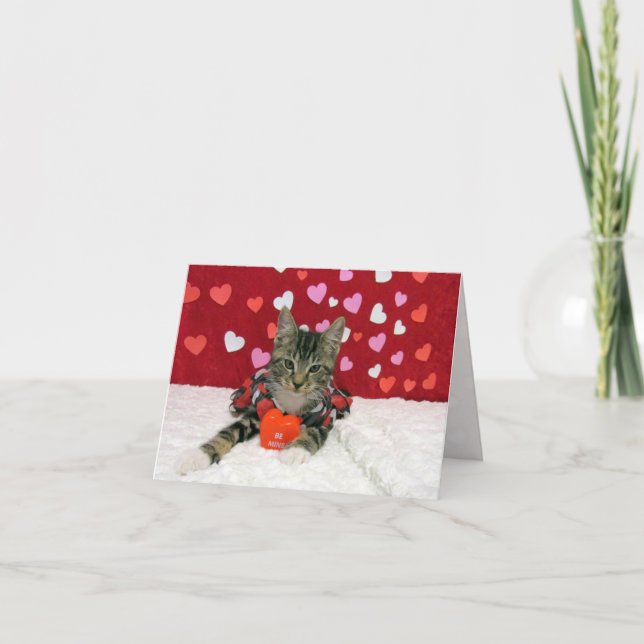 Bandit's Valentine's Heart - Cat/Kitten Card Helgkort (Framsida)