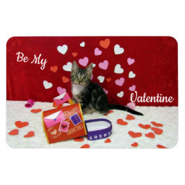Bandit's Valentine's Magnet (katt/kitten)