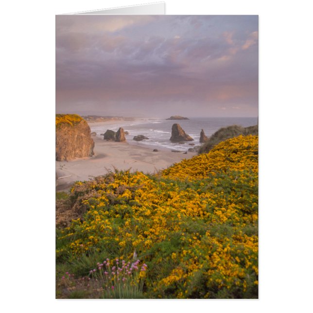 Bandon Beach Offshore Sten Gult Blommar Gorse  Gor Hälsningskort (Framsidan)