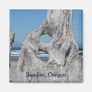 Bandon Oregon-magneter ger Ocean Beach Driftwood Magnet