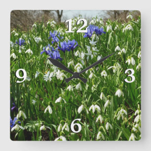 Bandsidan i Tidigt Vår blommor Fyrkantig Klocka