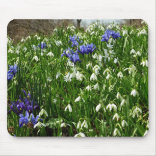 Bandsidan i Tidigt Vår blommor Musmatta