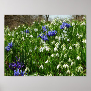 Bandsidan i Tidigt Vår blommor Poster