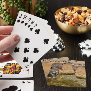 **"Bandsidaost: En utter och hans fångst"** Casinokort