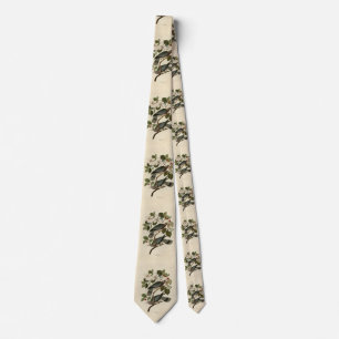 Bandstjärtad Pigeon - Audubon's Birds of America Slips