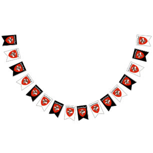 Baner för Schweitz partyBunting Vimplar