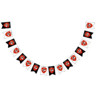 Baner för Svizra partyBunting Vimplar
