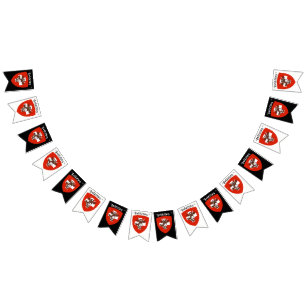Baner för Svizzera partyBunting Vimplar