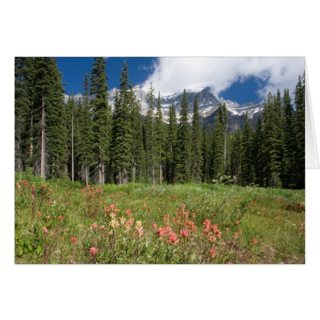 Banff Flowers Kanada Hälsningskort (Framsidan Horizontal)