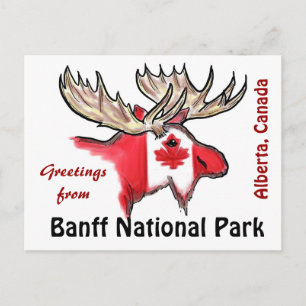 Banff National Park Alberta Canada elk-vykort Vykort