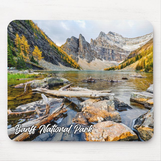 Banff nationalpark, Alberta, Kanada Musmatta (Framsidan)