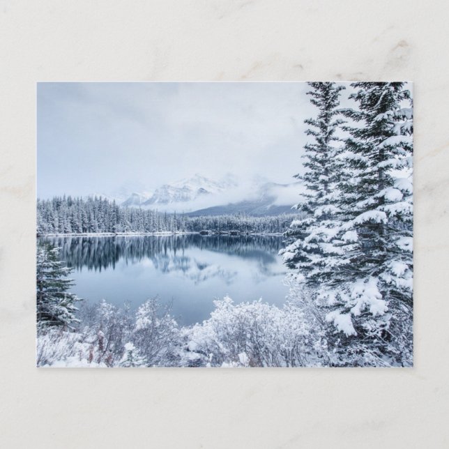 Banff nationalpark i Winter Vykort (Framsida)