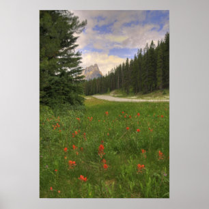 Banff nationalpark poster