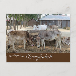 Bangladesh, Jamuna Vykort