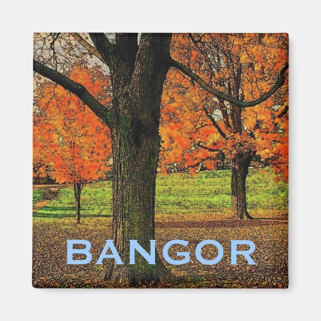 Bangor Magnet (Framsidan)