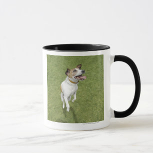 Banhoppningen för den jackrussell terrieren som mugg