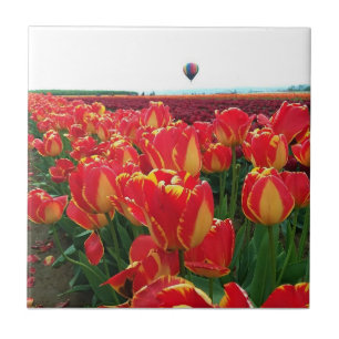 Banja Luka Tulips i Fält med Luftballong Kakelplatta