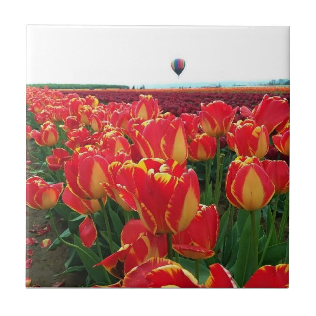 Banja Luka Tulips i Fält med Luftballong Kakelplatta (Framsidan)
