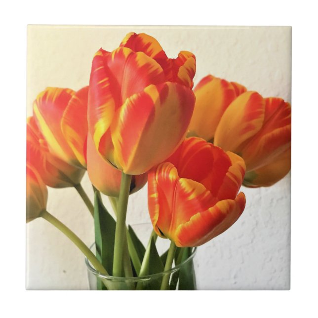 Banja Luka Tulips Kakelplatta (Framsidan)