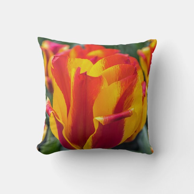 Banja Luka tulips-kudde Kudde (Framsida)