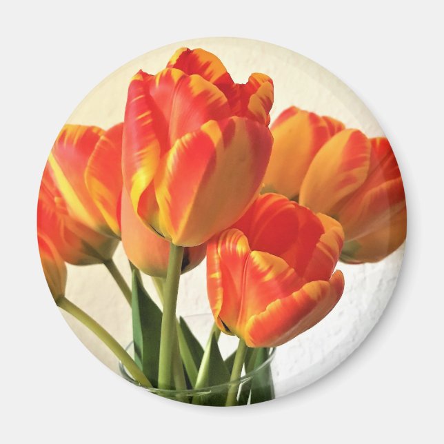 Banja Luka Tulips Magnet (Framsidan)