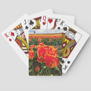 Banja Luka Tulips med Luftballong Casinokort