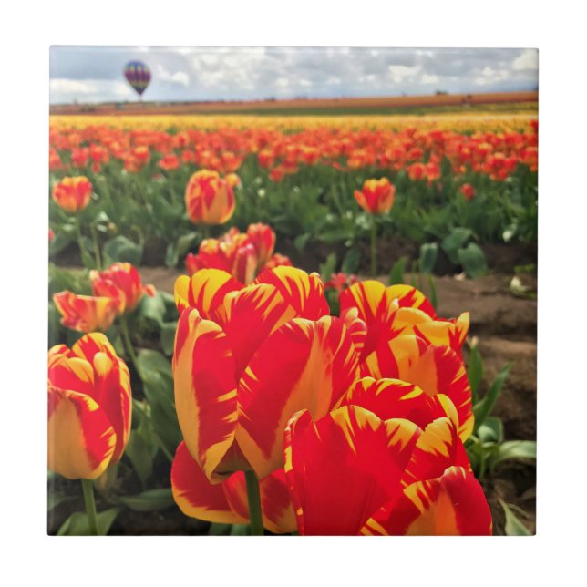Banja Luka Tulips med Luftballong Kakelplatta (Framsidan)