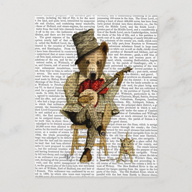 Banjo Bear Vykort (Framsida)