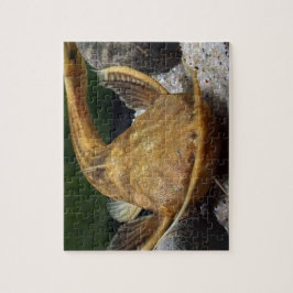 Banjo Catfish Jigszle Puzzle Pussel