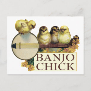 Banjo Chick Postcard Vykort
