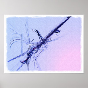 Banjo in C Major Poster