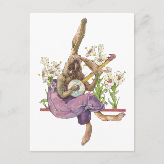 Banjo Pay Bunny Postcard Vykort (Framsida)