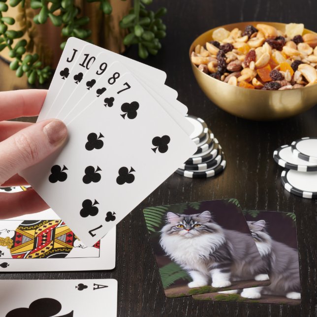 Banjo Persian: A Fluffy Grått and White Delight Casinokort (På plats)