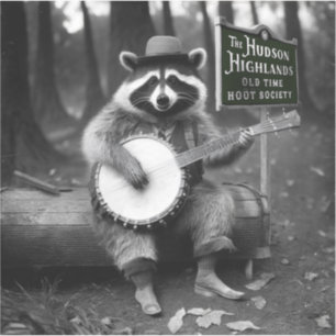 Banjo Raccoon Klistermärken