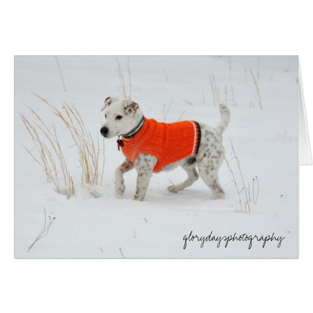 Banjo snödag hälsningskort (Framsidan Horizontal)