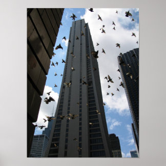 Bank One Plaza vs Pigeon Escape Poster