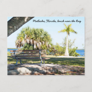 Bänk Palm Tree Bay Matlacha Florida vykort