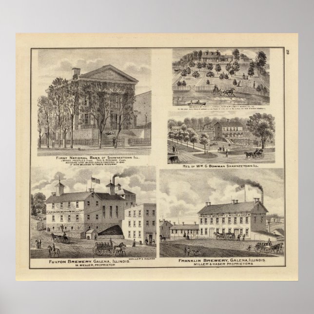 Banker, bostads- och bryggerier i Shawneetown Poster (Framsidan)