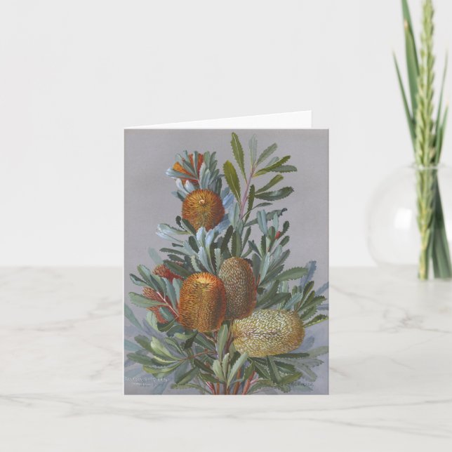 Banksia Australian WildblommWatercolor Tack Kort (Framsida)