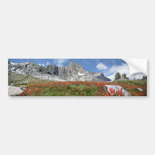 Banner Peak Wildblommor - Ansel Adams Wilderness Bildekal