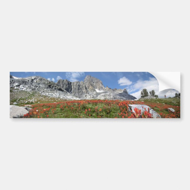 Banner Peak Wildblommor - Ansel Adams Wilderness Bildekal (Framsidan)