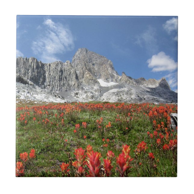 Banner Peak Wildblommor - Ansel Adams Wilderness Kakelplatta (Framsidan)