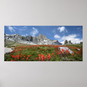Banner Peak Wildblommor - Ansel Adams Wilderness Poster