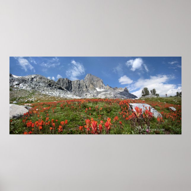 Banner Peak Wildblommor - Ansel Adams Wilderness Poster (Framsidan)