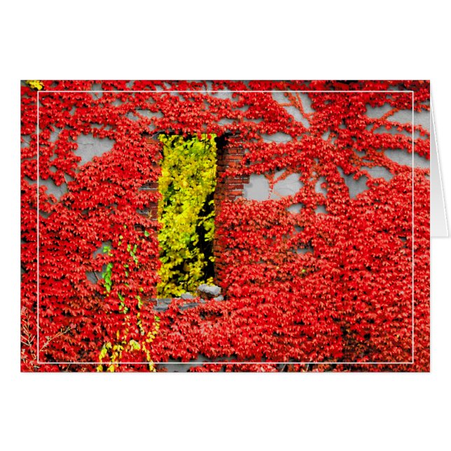 Bannermans fönster hälsningskort (Framsidan Horizontal)