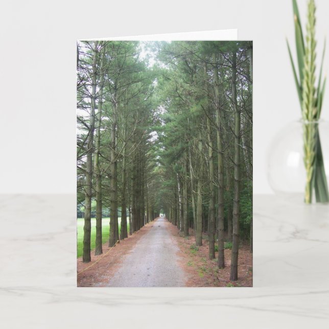 Banor Kort (Framsida)