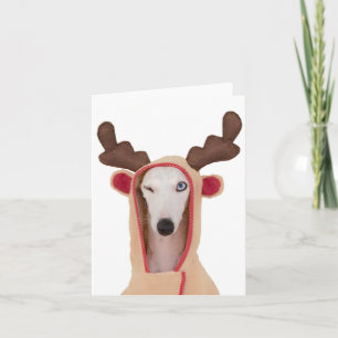 Bans Winking Reindeer blank-kort Helgkort