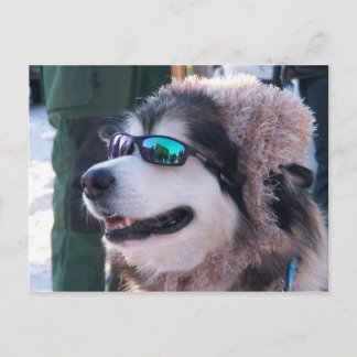 Banshee Postcard Vykort