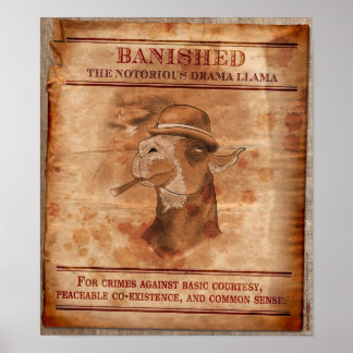 Banska Drama Llamas - 12 x 14 tum Poster