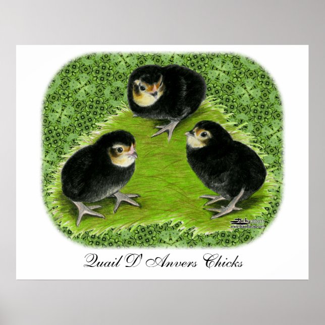 Bantam-Chickarna i Garden Poster (Framsidan)